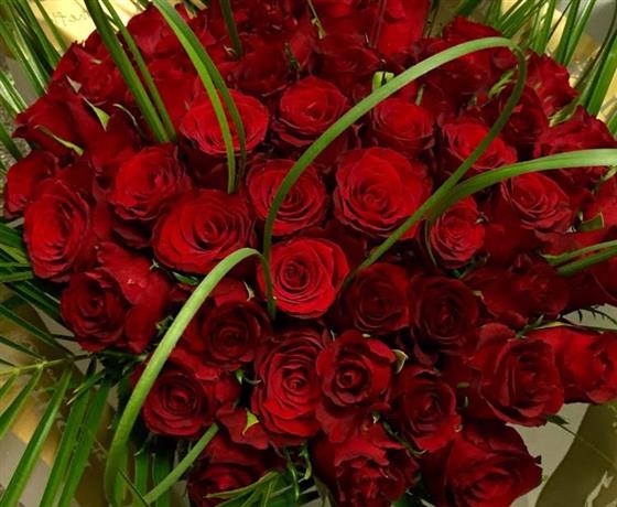 Margaret Raymond Florist 50 Red Roses