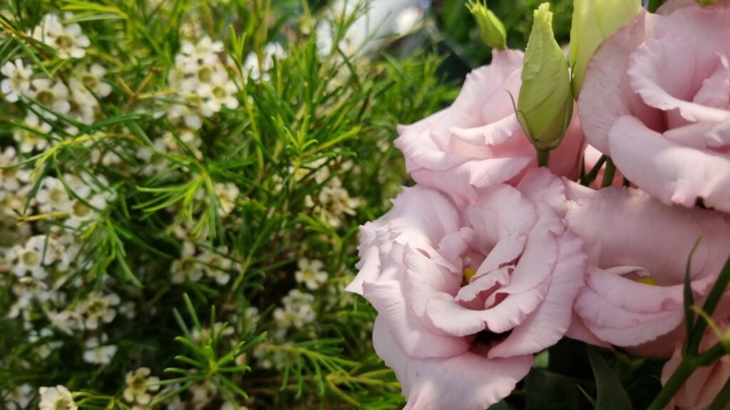 Margaret Raymond Florist Southend on Sea