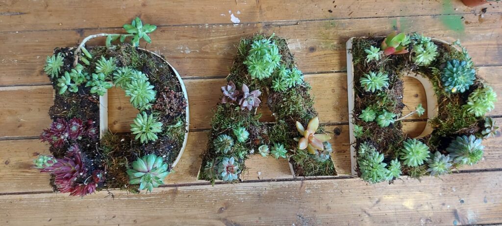 Biodegradable tribute letters with succulents and moss planted in wooden letter frames.